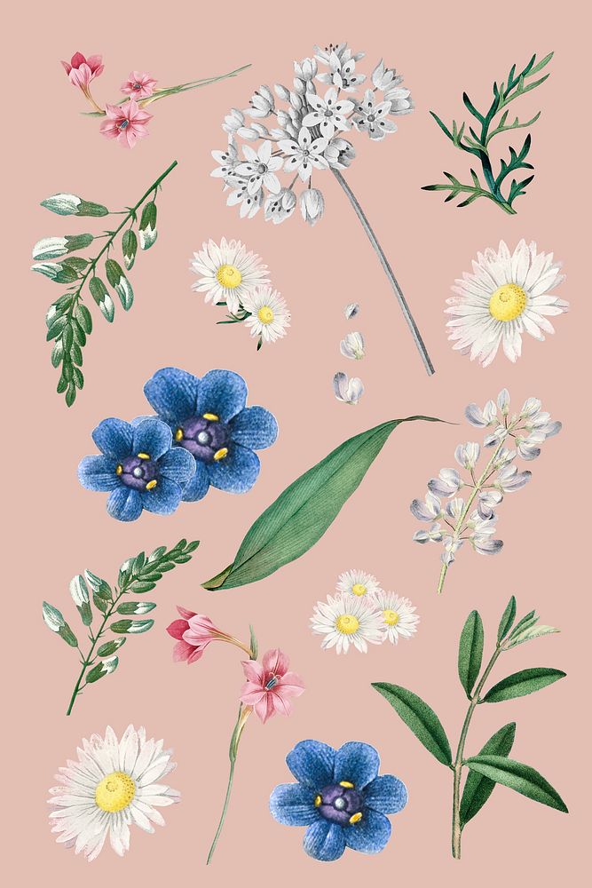 Floral pattern pink background vector | Premium Vector - rawpixel