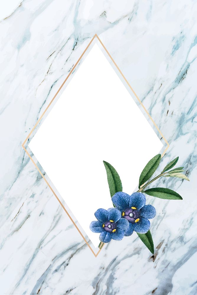 Rhombus frame with blue flower vector