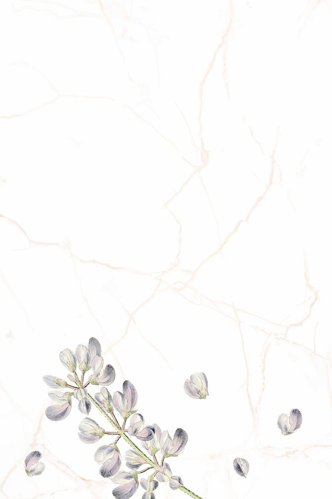 Half shrubby lupine flower pattern on a white marble background vector