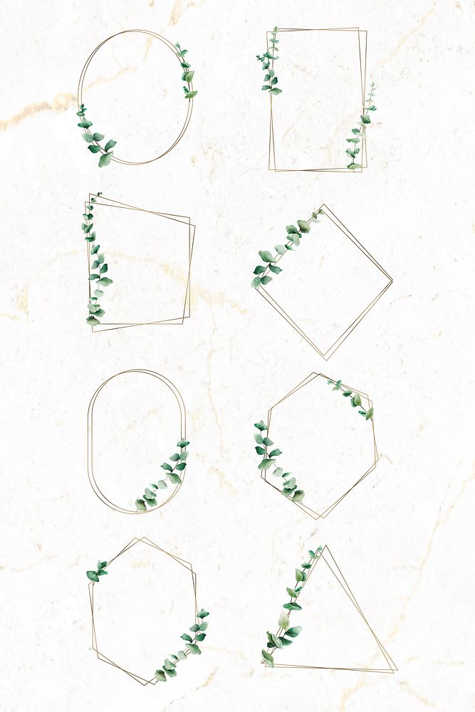 Hand drawn eucalyptus leaf gold frame vector set