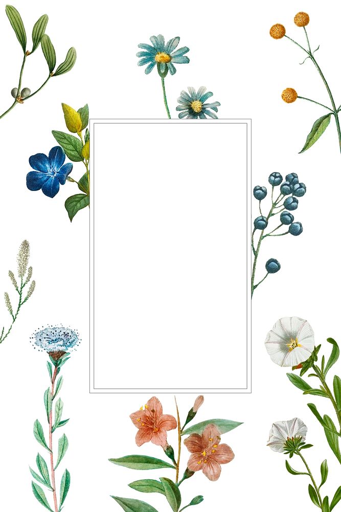 Floral frame with white banner vintage illustration