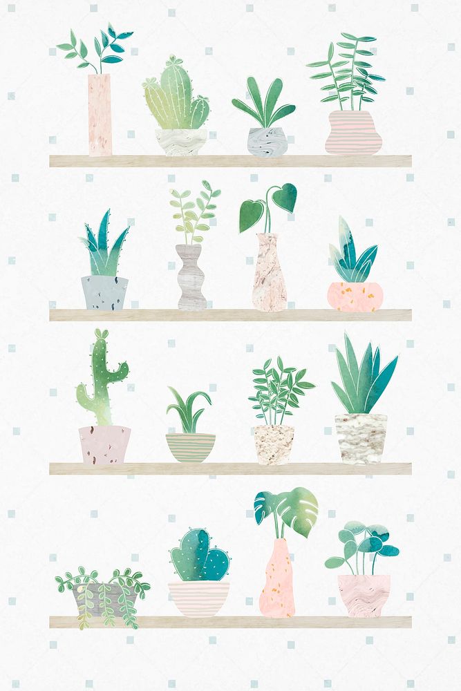 Green botany cactus collection vector