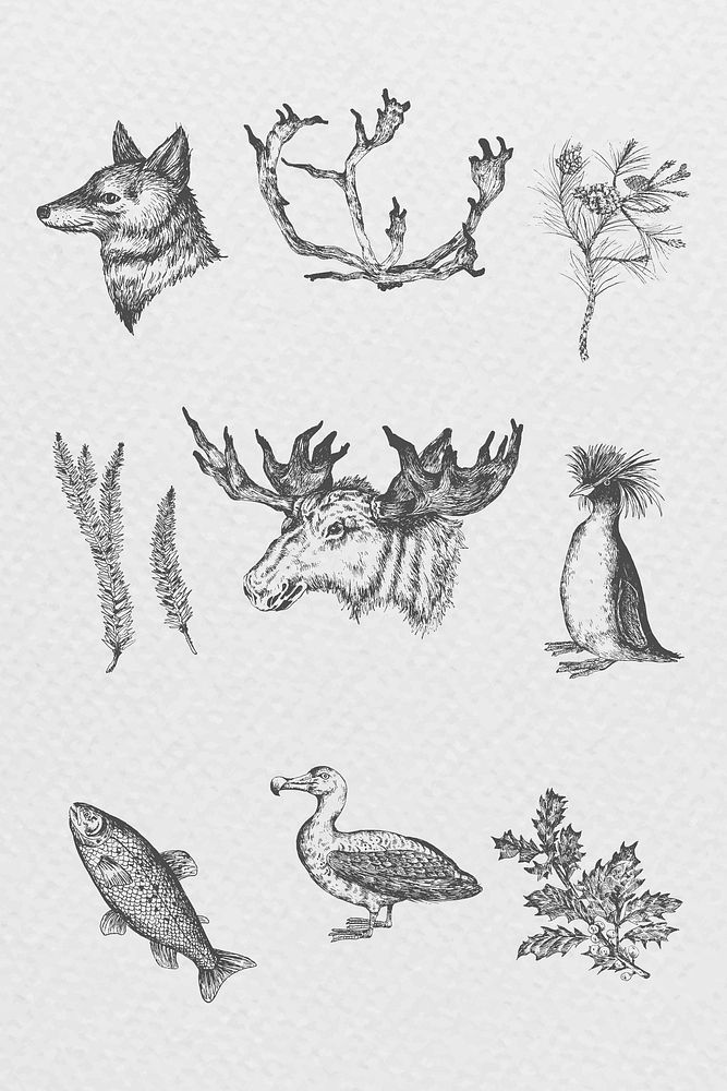 Animal drawing gray scale collection vector