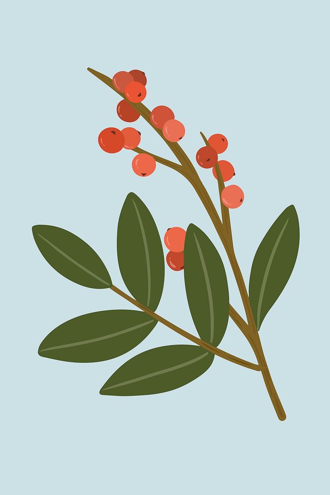 Red winterberry on a blue background vector