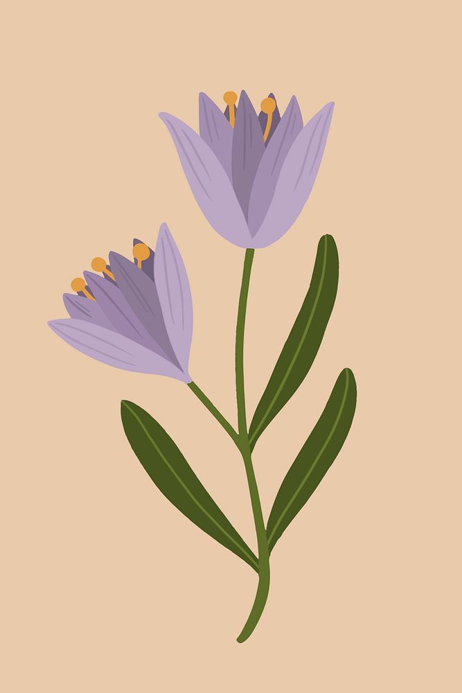 Blooming purple botanical flower illustration