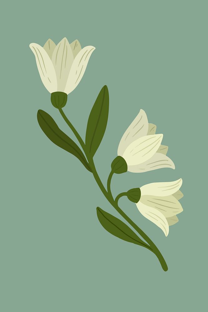Botanical white flower on a green background vector