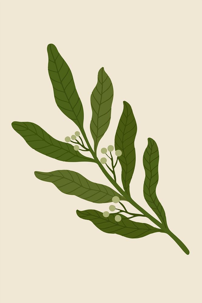 Green leaves on a beige background vector