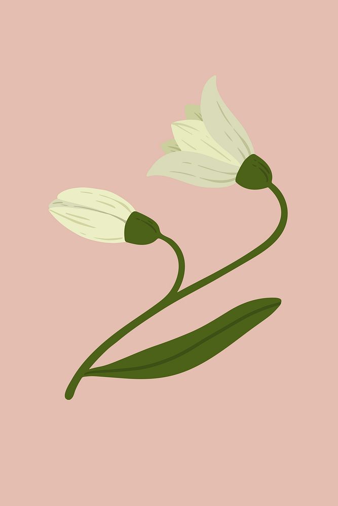 Botanical white flower on a pink background vector