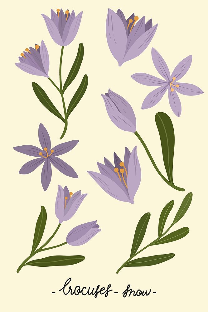 Botanical purple flower illustration set