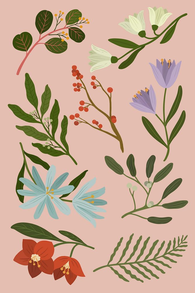 Winter botanicals on a pink background illustration