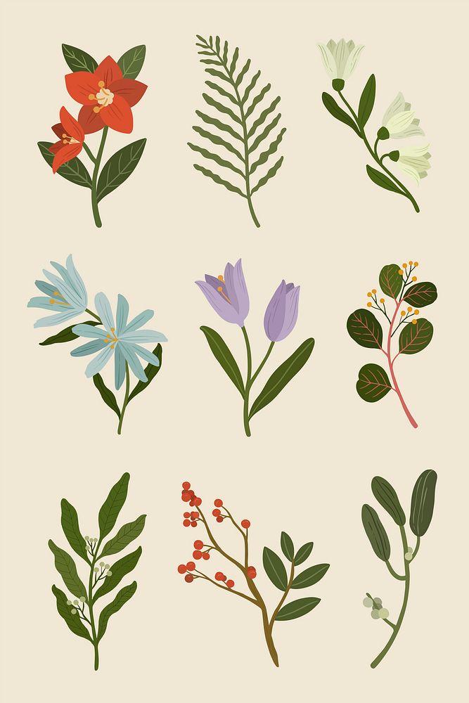 Winter botanicals on a beige phone background vector