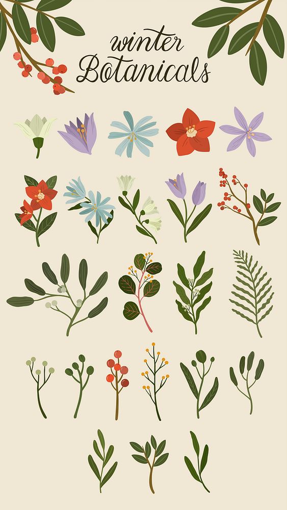 Winter botanicals on a beige phone background illustration