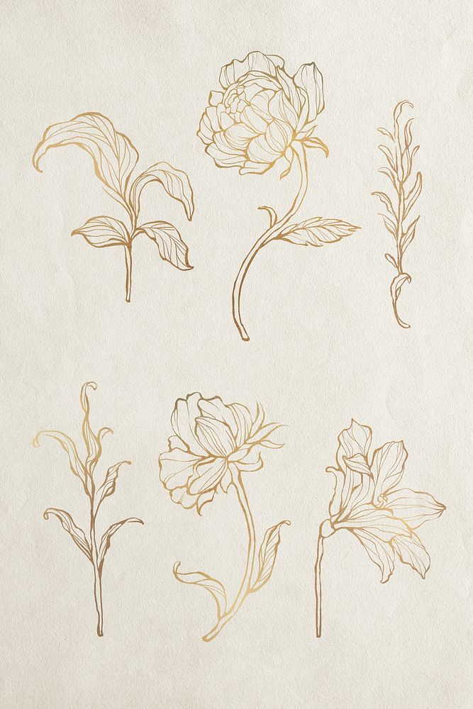 Gold floral outline set vector