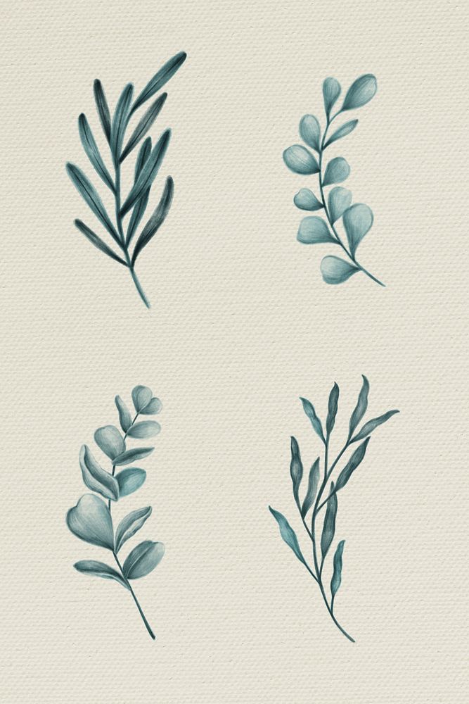 Green leaves collection illustration