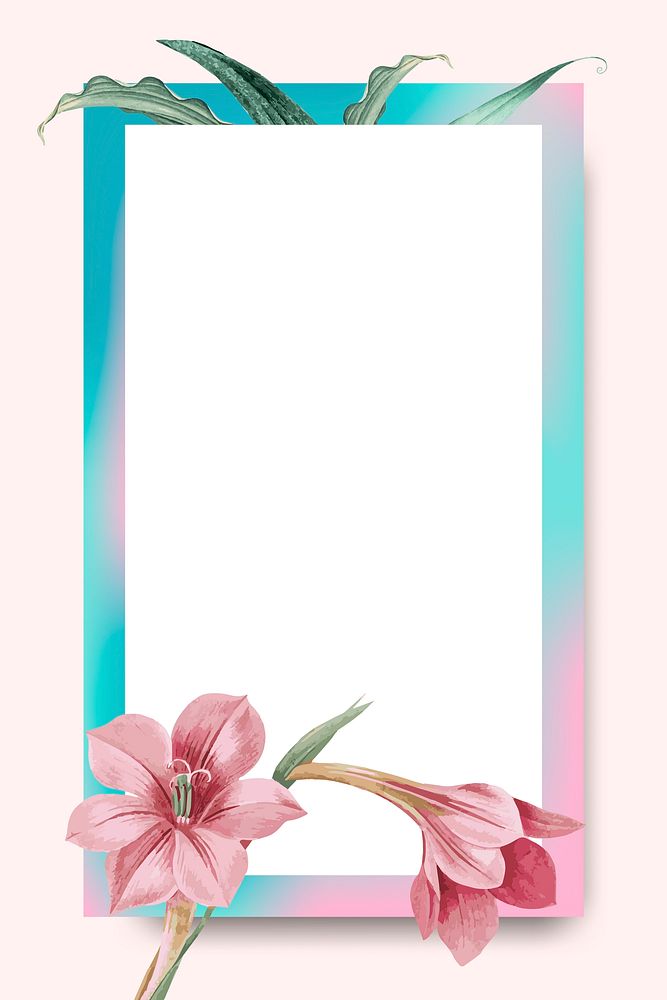 Pink amaryllis on pink and blue frame vector