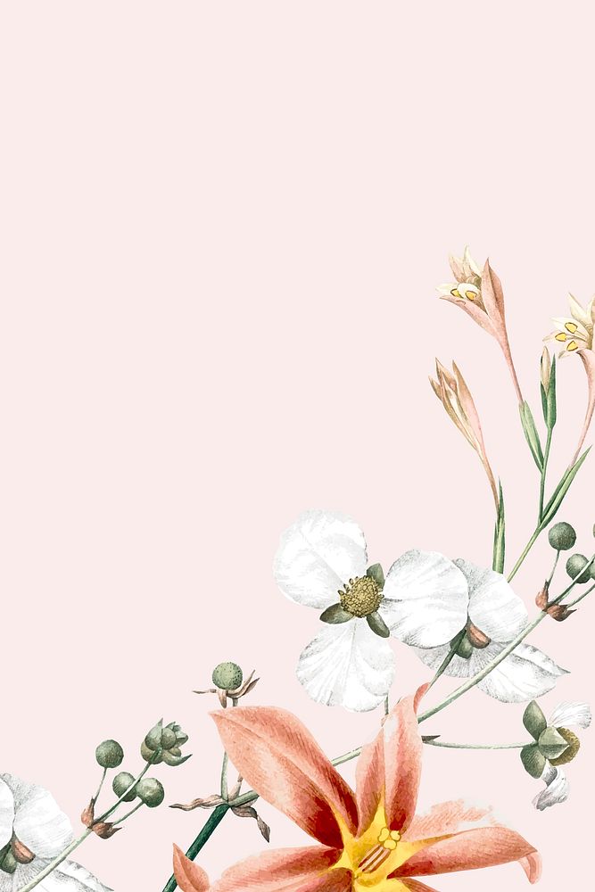 Floral pink background vector template