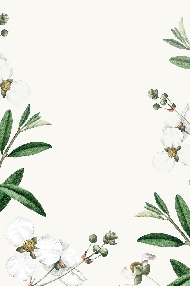 White flower on a beige background vector template