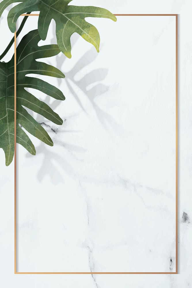 Gold frame with philodendron radiatum leaf pattern on white marble background vector
