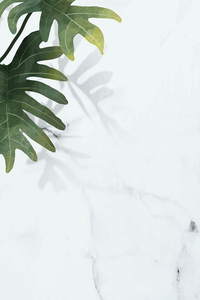 Philodendron radiatum leaf pattern on white marble background vector