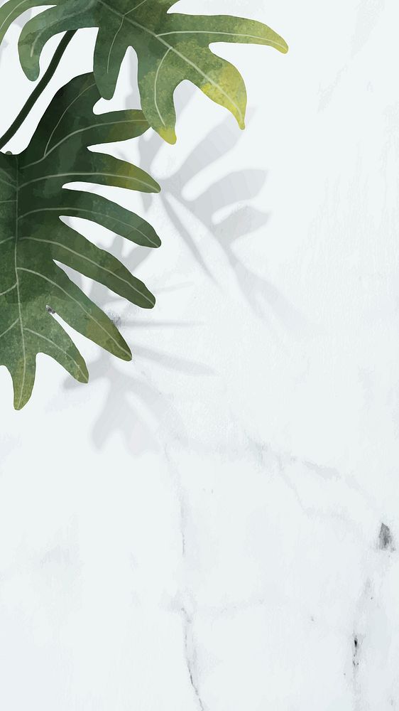 Philodendron radiatum leaf pattern on white marble mobile phone wallpaper vector