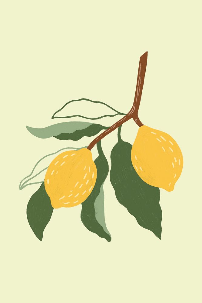 Hand drawn lemon design resource mockup