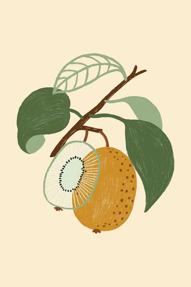 Hand drawn kiwi design resource vector