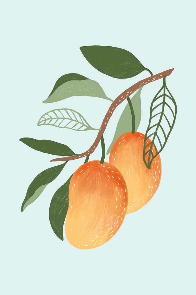 Hand drawn mango design resource vector