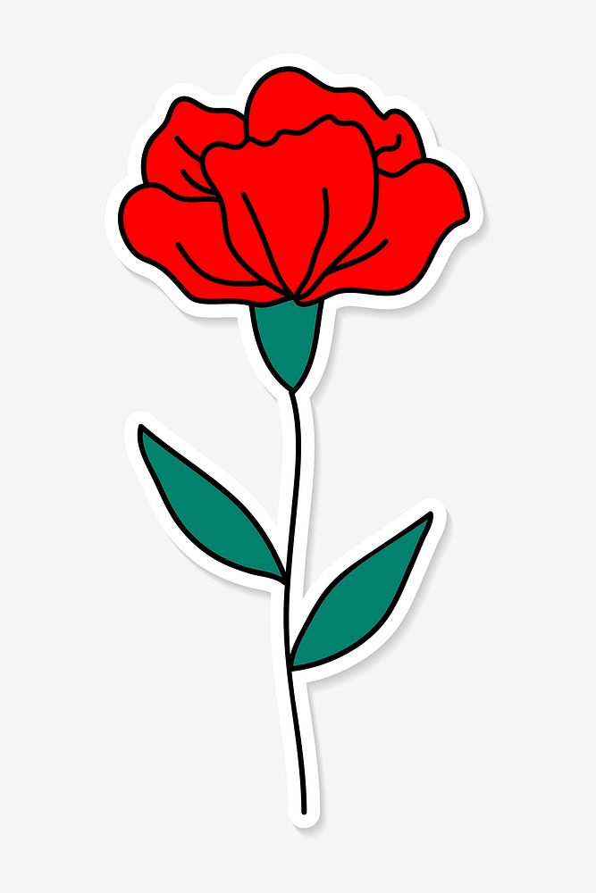 Red carnation flower sticker vector