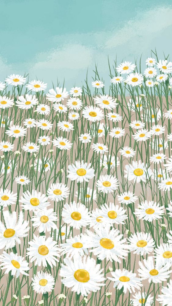 Blooming white daisy flower mobile phone wallpaper illustration