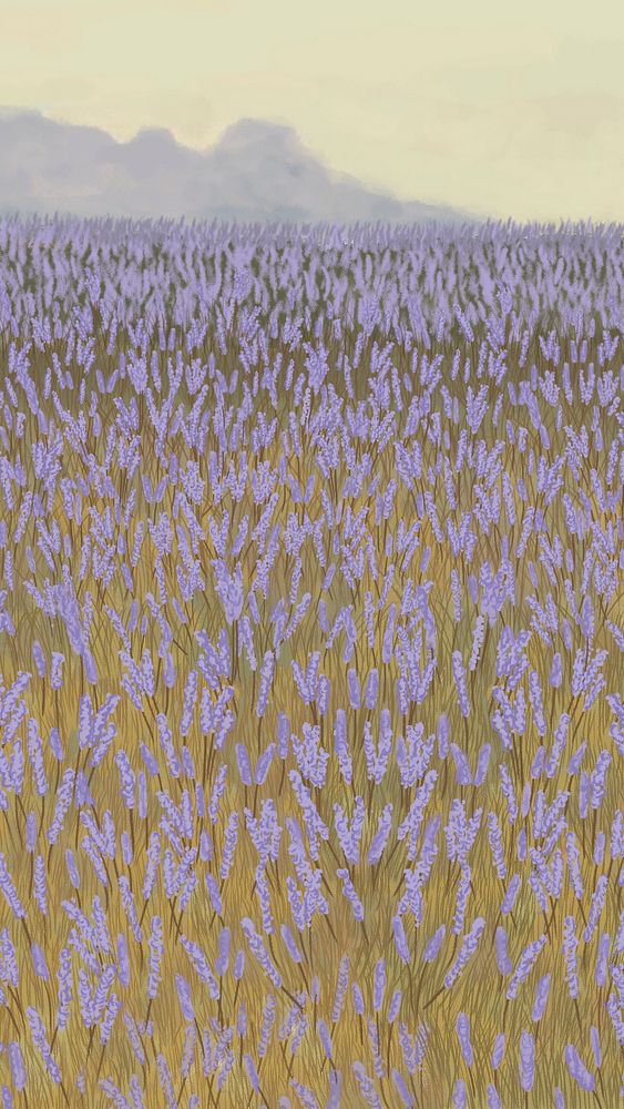 Blooming lavender garden mobile phone wallpaper illustration