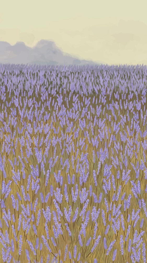 Blooming lavender garden mobile phone wallpaper vector