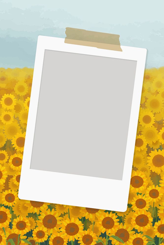 Empty instant picture frame on sunflower field background vector