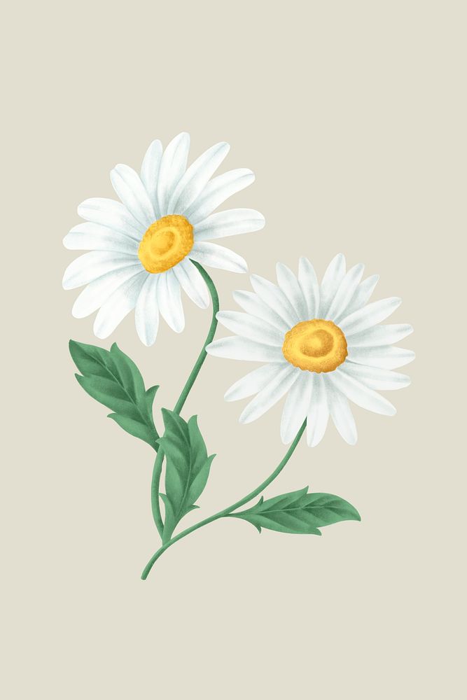 Vintage daisy flower mobile phone wallpaper illustration mockup