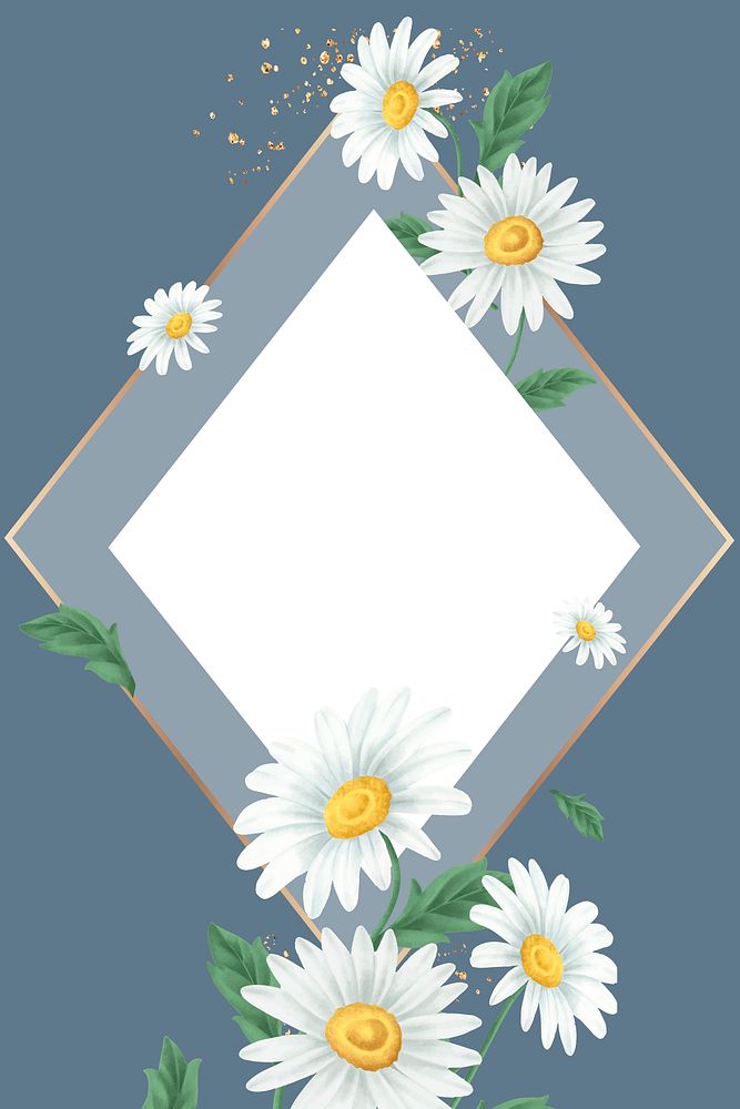 Daisy flower frame on blue background vector