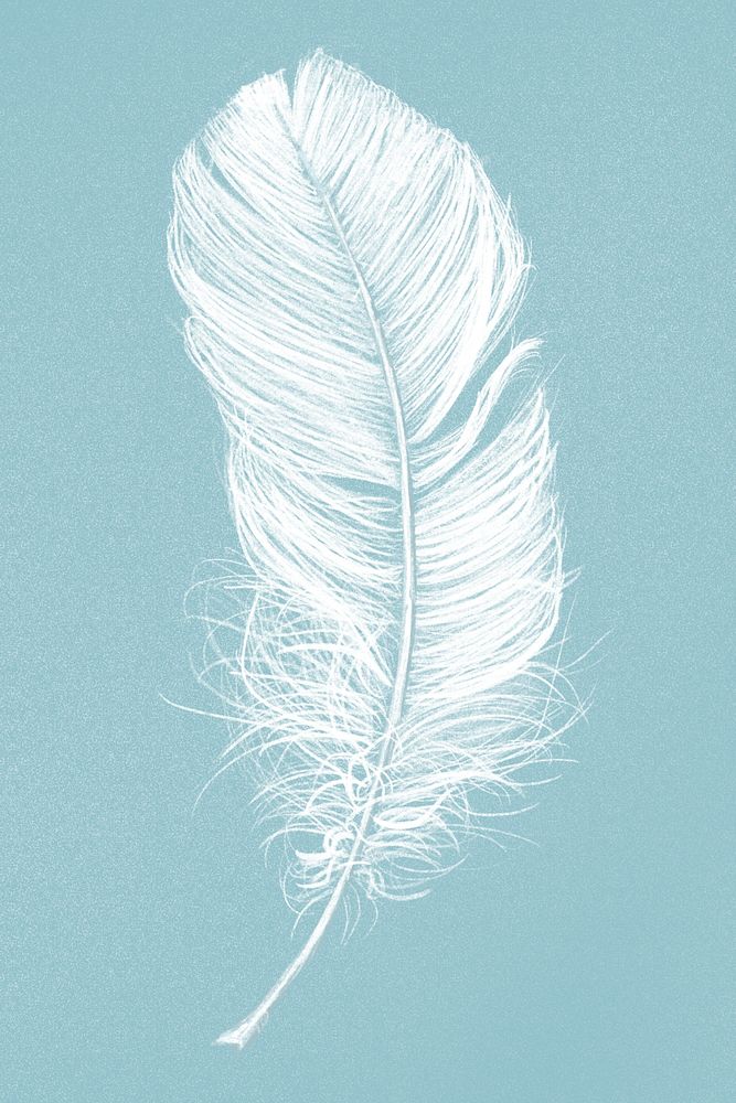 Hand drawn white feather psd on blue background