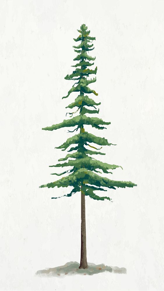 Pine tree element graphic vector on plain background 