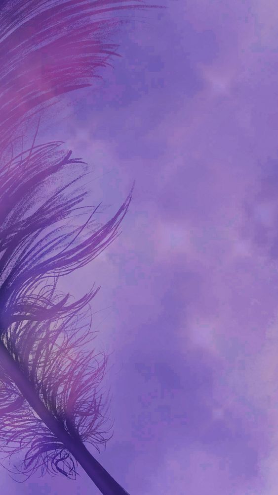 Realistic feather on purple background