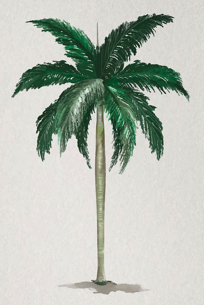Tree element vector Palm tree