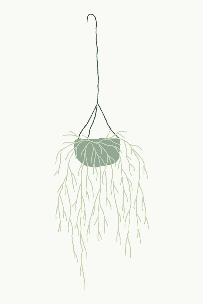 Hanging plant mistletoe cactus doodle