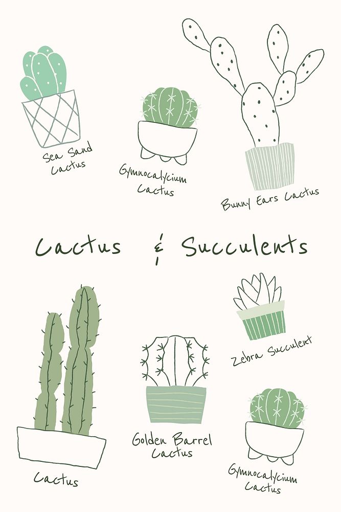 Cactus and succulent psd houseplants in hand drawn doodle style