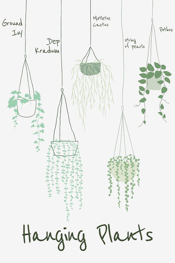 Hanging plant guide psd template in hand drawn doodle style