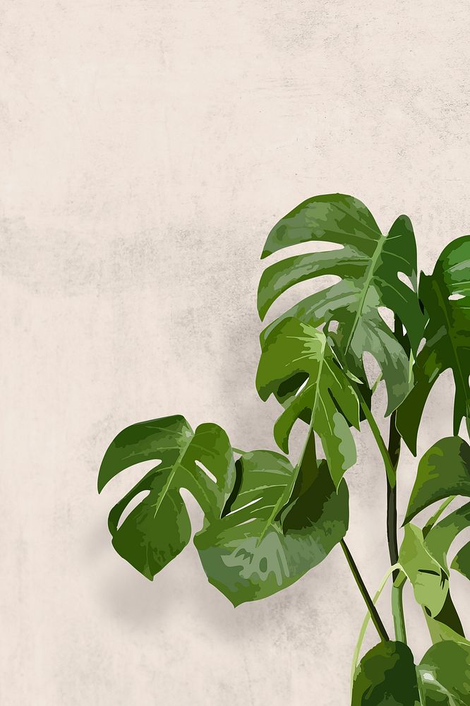 Monstera background, tropical leaf wallpaper