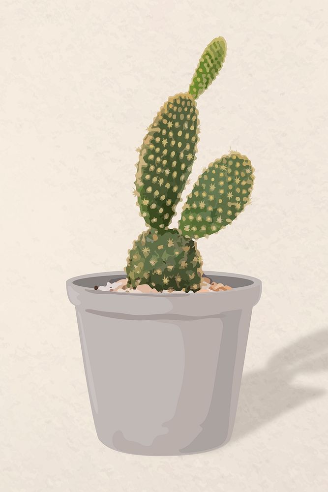 Plant vector art, Cactus illustration