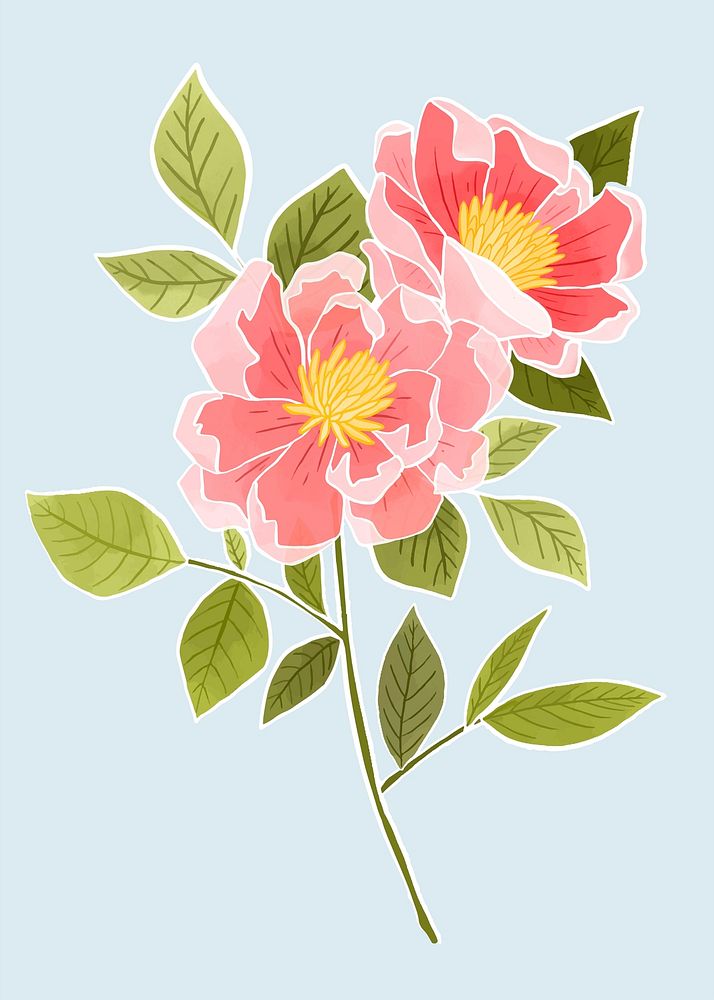Hand drawn rose flower vector design element