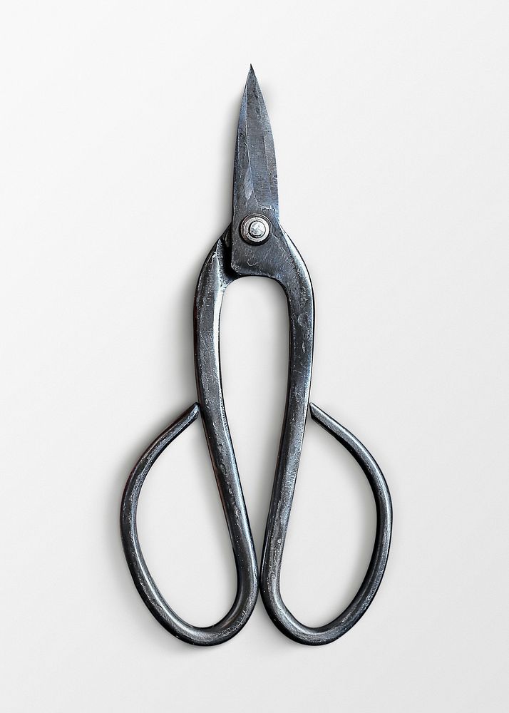Traditional Japanese scissors, Bonsai trimming Free Photo rawpixel
