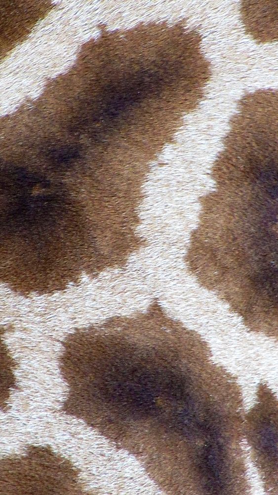 Giraffe pattern texture phone wallpaper, high definition background