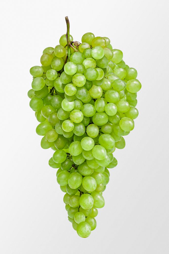 Niagara green grapes clipart, fresh fruit