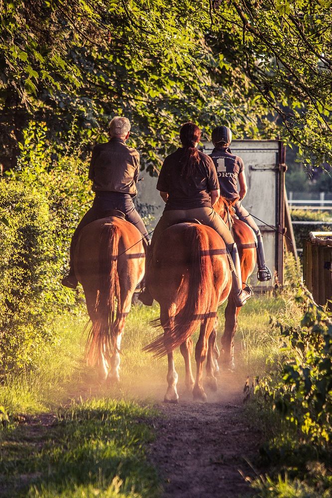 Free humans riding horses on pathway in a paddock image, public domain animal CC0 photo.