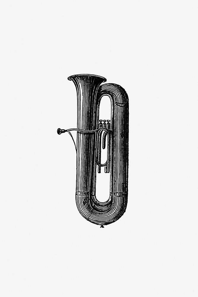 Vintage European style trumpet engraving. Original from the British Library. Digitally enhanced by rawpixel.