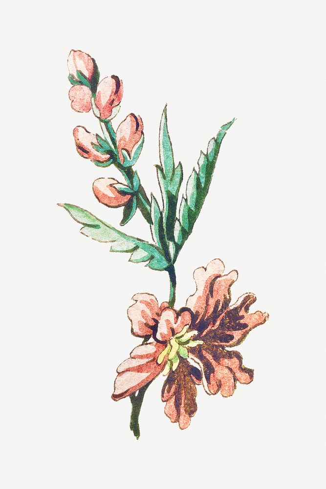 Vintage blooming pink flower branch